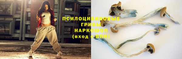 ПСИЛОЦИБИНОВЫЕ ГРИБЫ Ладушкин