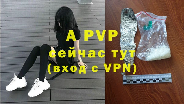 ПСИЛОЦИБИНОВЫЕ ГРИБЫ Ладушкин