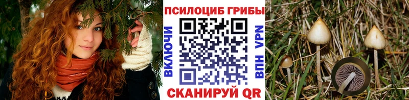 Галлюциногенные грибы Cubensis  кракен ТОР  Челябинск 